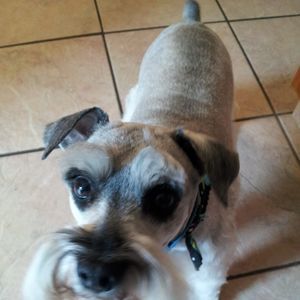 Meet your Posher, Debra